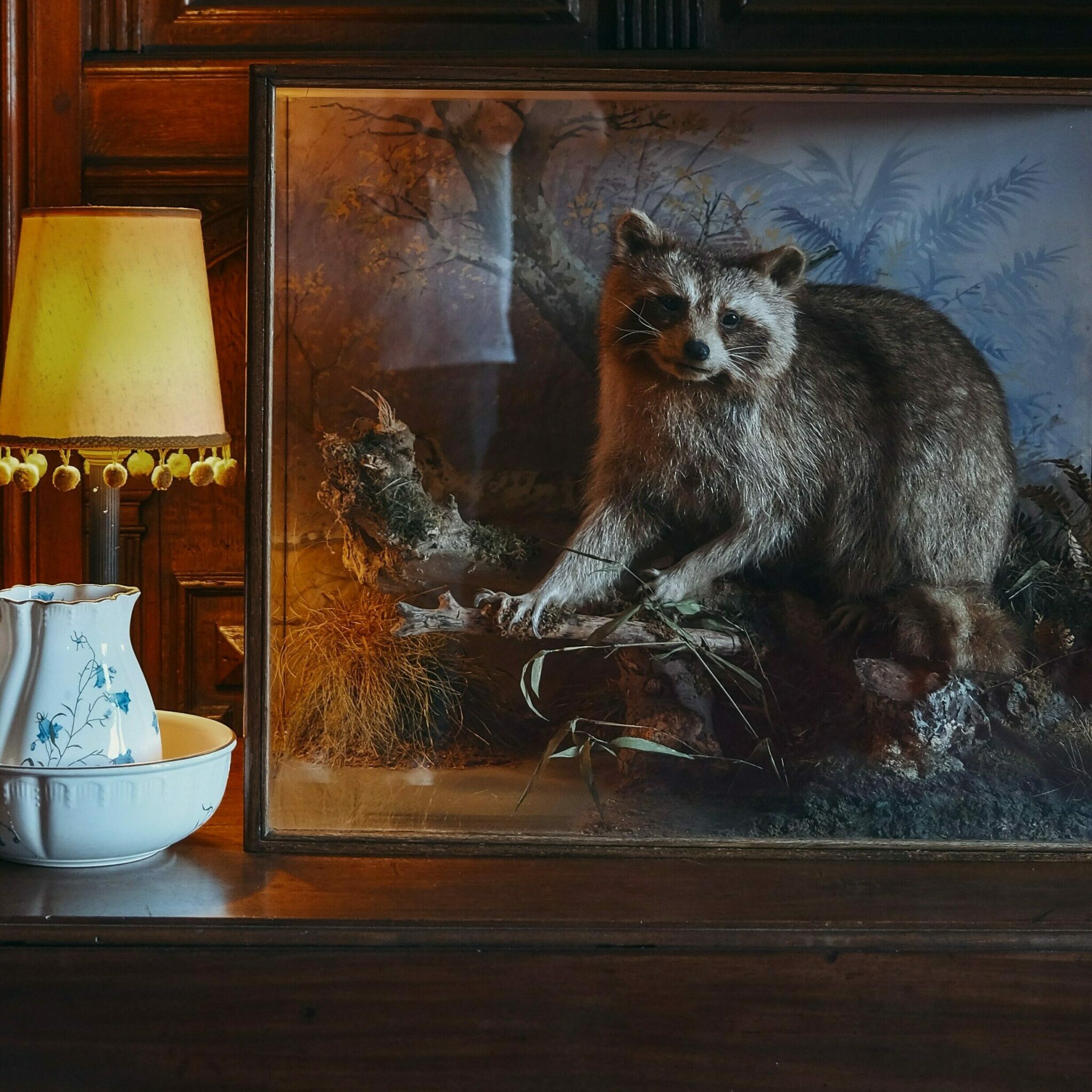 taxidermy classes near me Finding Local Instruction for a Fascinating Hobby